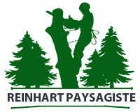 elagage-reinhart-paysagiste